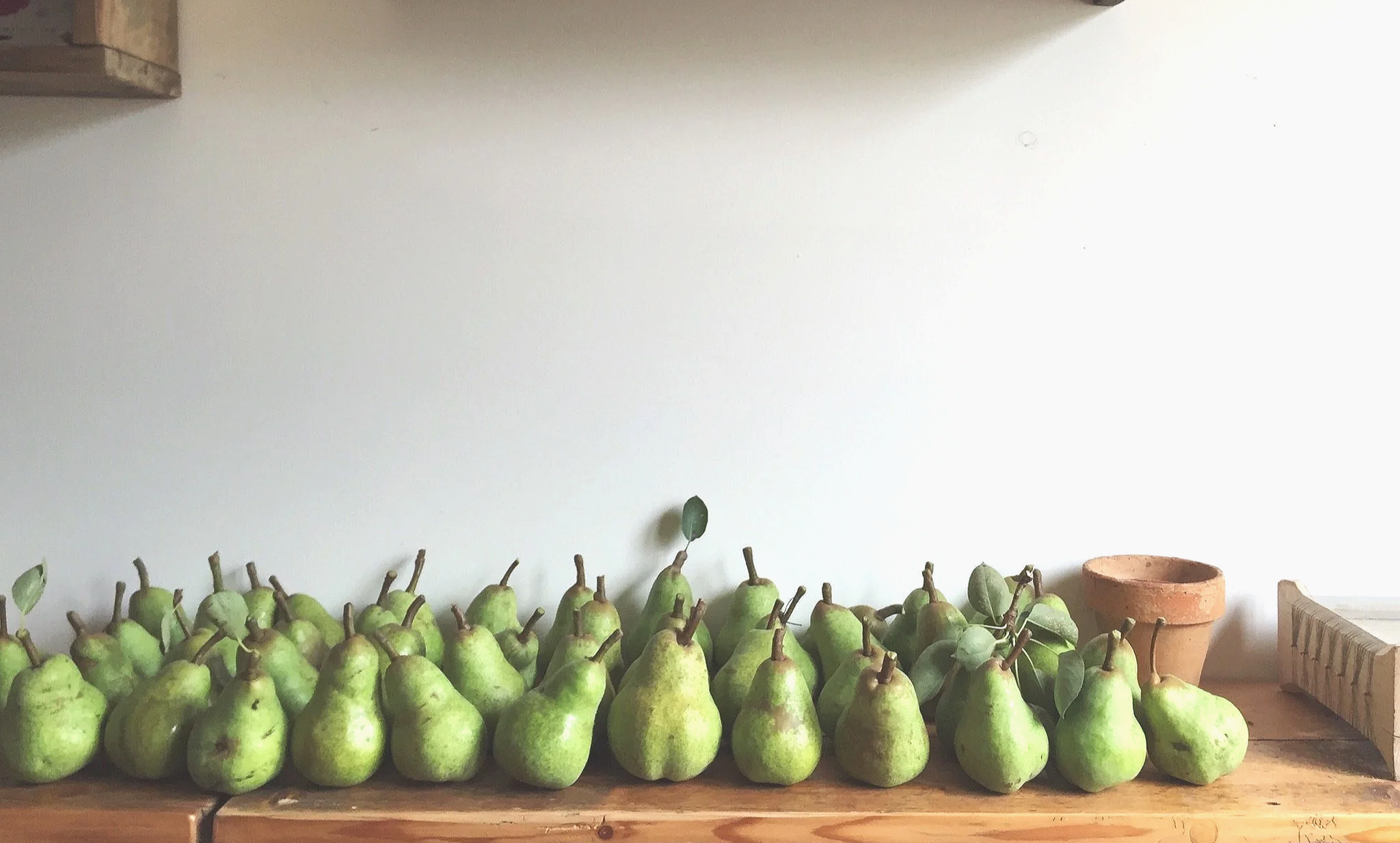Still life, green pears on a weathered wooden shelf